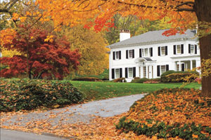 Yard & Garden