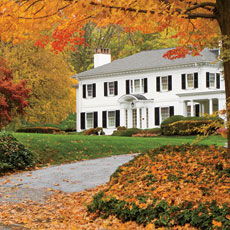 trees and shrubs for fall color