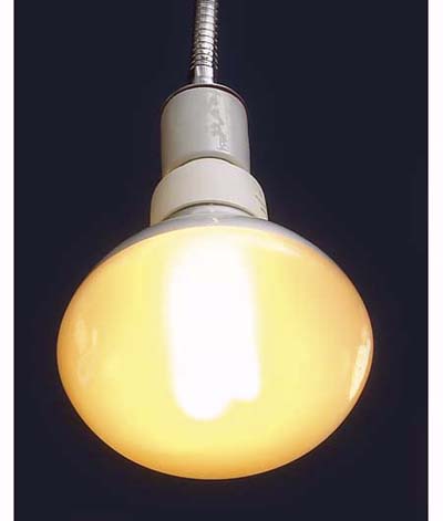 Philips compact flourescent