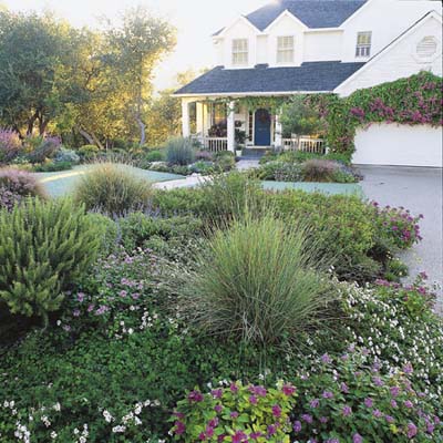 curb garden
