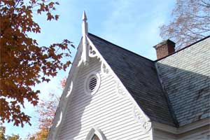bat removal house