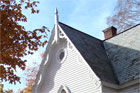bat removal house