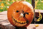 Editors Pick The Best Pumpkin Carvings Ever