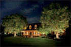 house landscaped with exterior lighting
