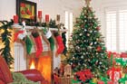 Christmas tree in a living room