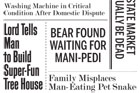 weird news headlines