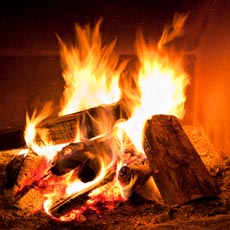 Wood burning fireplace