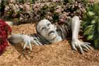 zombie yard sculpture sticking out of the ground in a flower garden