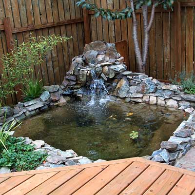 a backyard pond in Port Orford, OR