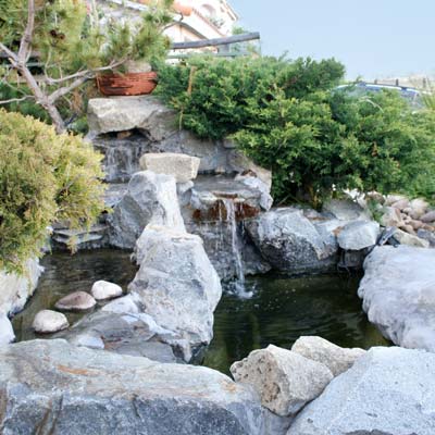 a backyard pond in San Diego, California