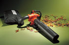 Leaf blower and fall leaves