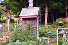 Outdoor garden with garden shed