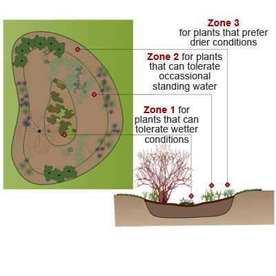 Illustration of the rain garden irrigation 