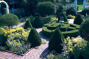 Build A Better Garden