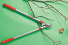 this old house tested tools pruners