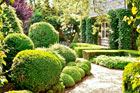 a well-framed, ornate garden path