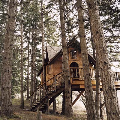 tree house in Washington state