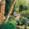 bench in garden with trees