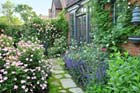 From Blah Lawn to Backyard Rose Garden Paradise