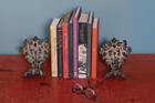 bath tub claw feet adapted for use as bookends