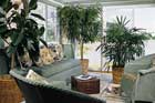 easy houseplants