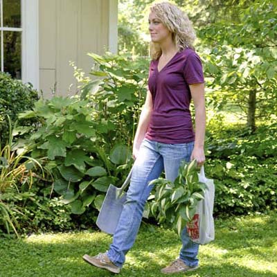 Poly  Yard Sign on Transport Unpotted Plants   10 Uses For Plastic Bags   Photos