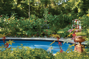 backyard swimming pool