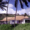 The Honolulu House 1994