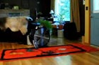 Preparing a Home for a Blower-Door Test