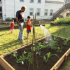Water and mulch the bed