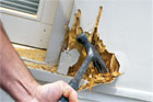 fix rotted wood trim