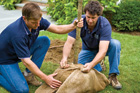 Men wraping burlap sack around tree