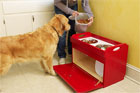 woman putting pet food in the pet feeding station while a dog watches intently