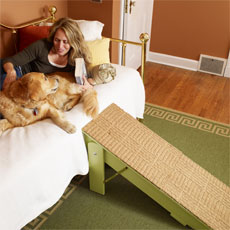 woman lying with her dog on a couch with a completed pet ramp pulled up against it
