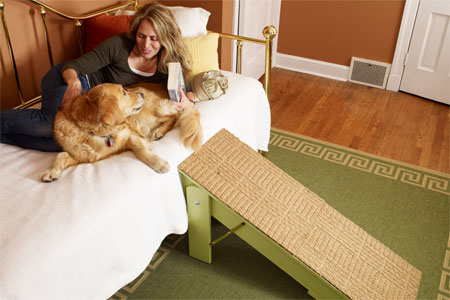 woman lying with her dog on a couch with a completed pet ramp pulled up