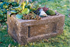 How to Make a Garden Trough