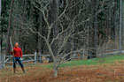 a man standing next to a tree that needs pruning