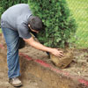Roll the Tree into the Trench