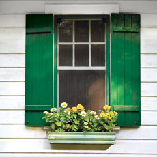 vintage window box with planted flowers