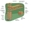 Overview