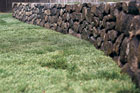a newly sodded lawn
