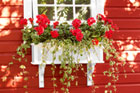How to Build a PVC Window Box