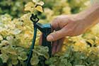 Drip Irrigation Step-by-step Tout
