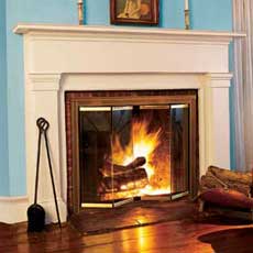 glass fireplace doors tout