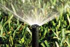 Sprinklers
