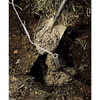 Fill the posthole with concrete