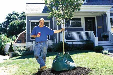 Planting a Tree tout