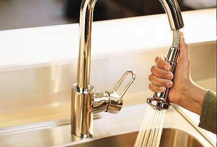 Pull-Out Faucet Tout