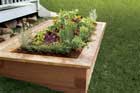 Raised Planting Bed Tout