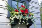 Hanging a Window Box tout